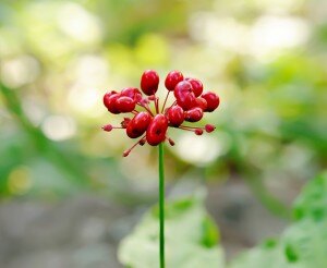 shutterstock_482818939