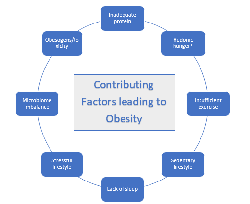 contributingFactorsObesity contributingFactorsObesity